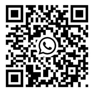86 18736065220 WhatsApp