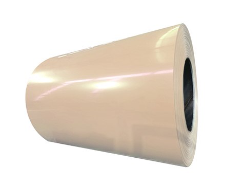 RAL1015 PPGI Steel Coil Sheet - Wanzhi Steel