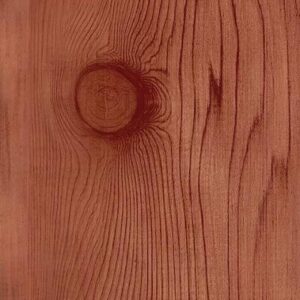 Wood grain printing color coated roll 06