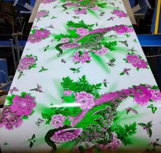 Peacock pattern - flower print color coated steel coil Peacock pattern - flower print color coated steel coil